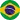 Português Brasil